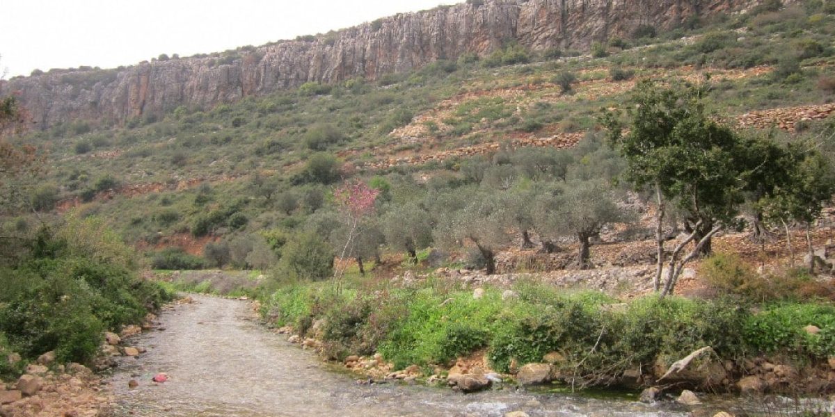 עין יפעם – עין מג'נונה