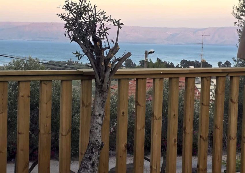 מגדל של חיים (23)