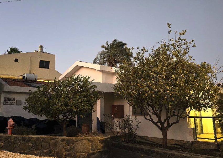 מגדל של חיים (59)
