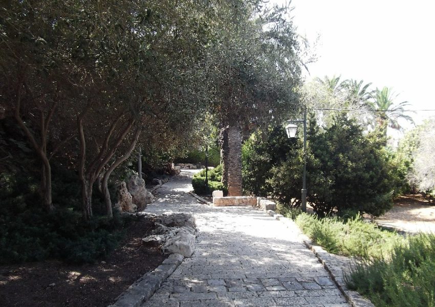 מעיין בירכה