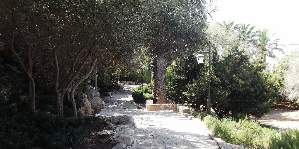 מעיין בירכה