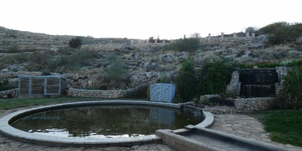 מעיין הכרמים