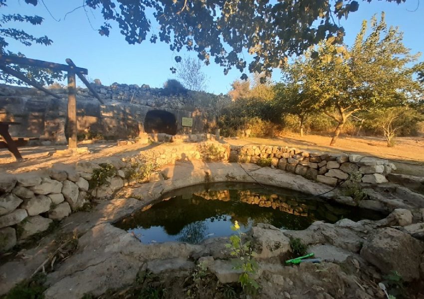 מעיין מאיר