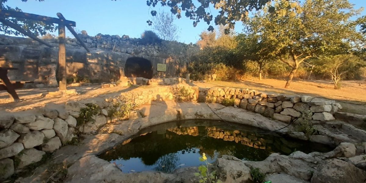 מעיין מאיר