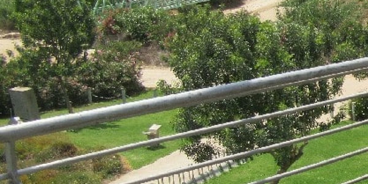 מצפור ויקר