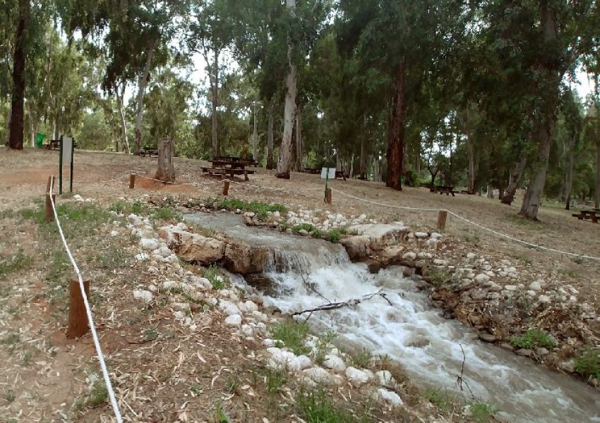 מקורות הירקון