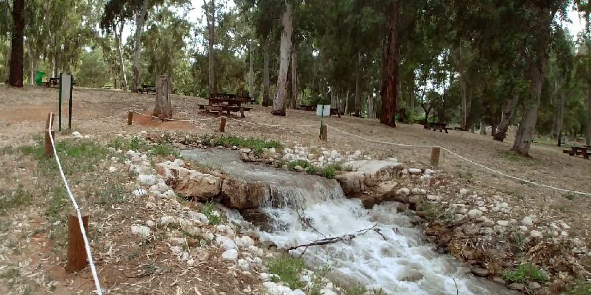 מקורות הירקון