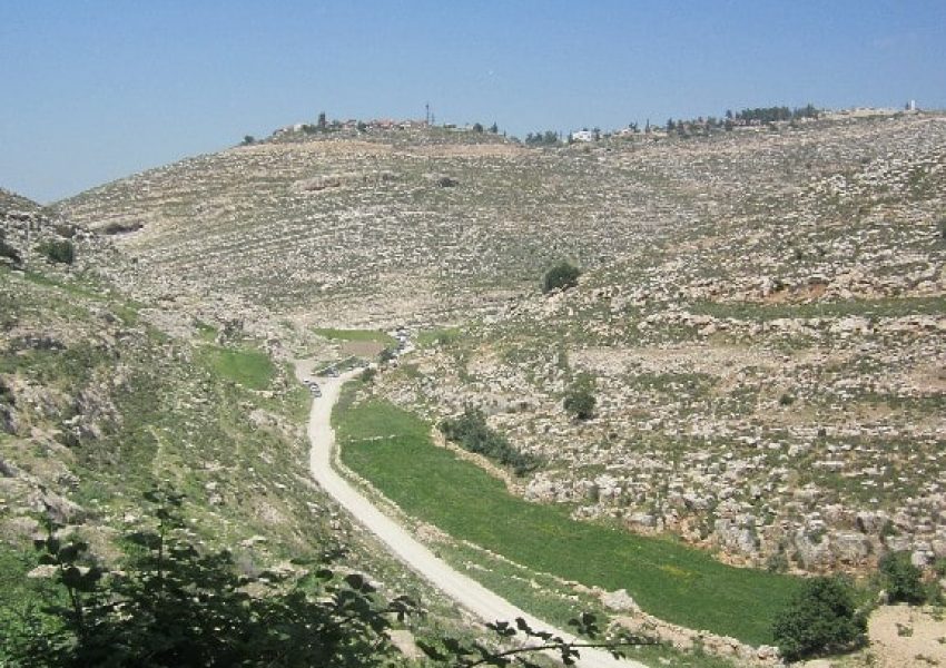 נחל גוברין