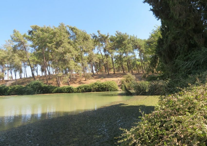 נחל הקיני