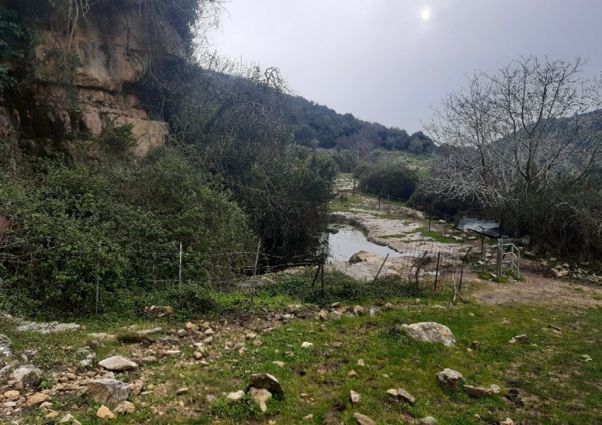 עינות נריה- נחל מורן