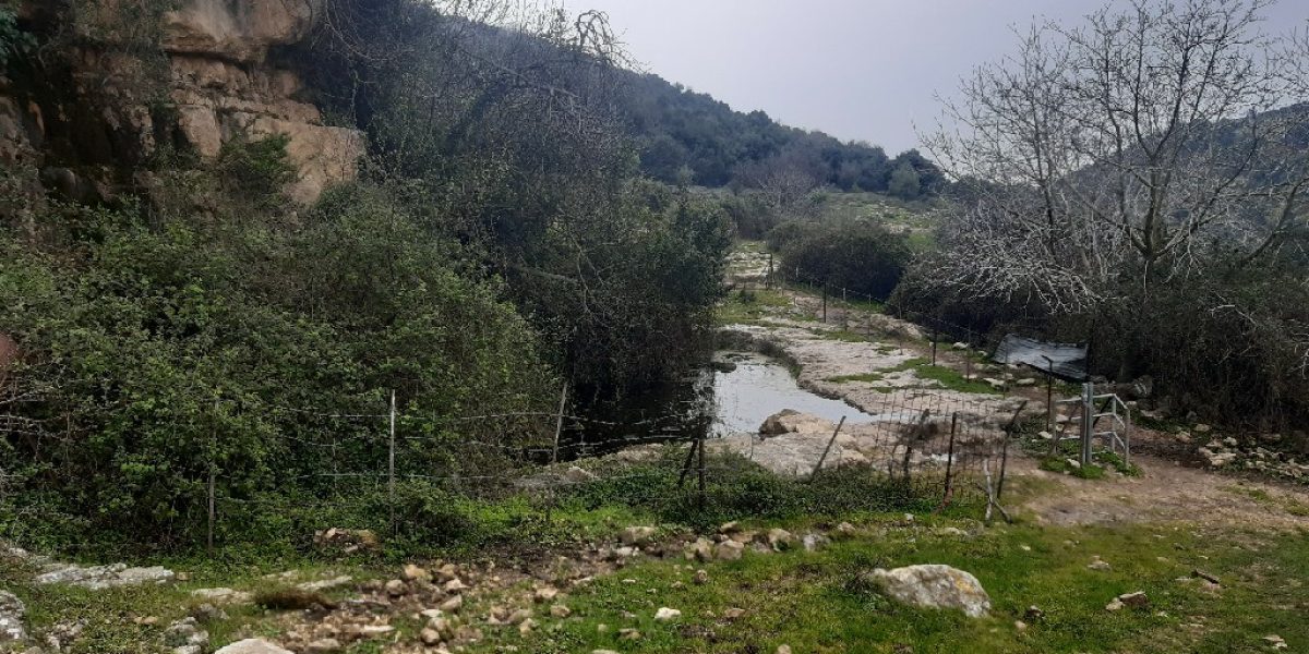 עינות נריה- נחל מורן