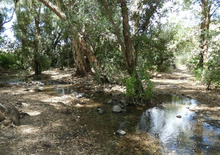 נחל מחניים ועין ירדה
