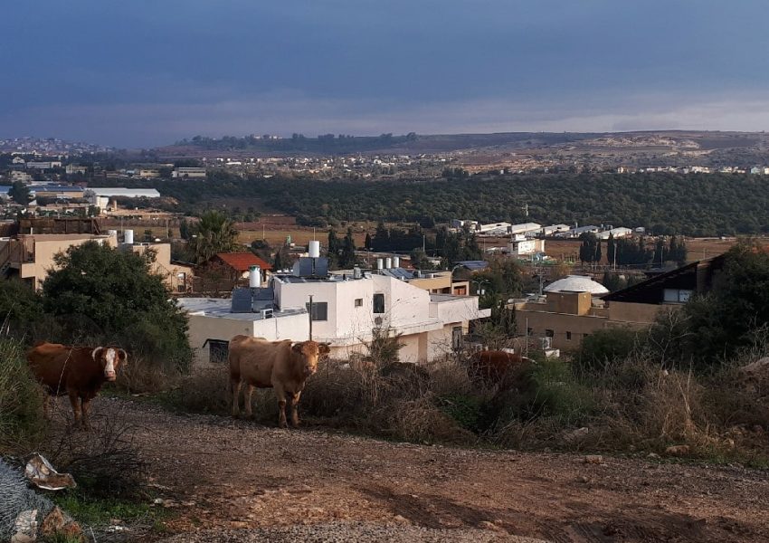 נחל מירון