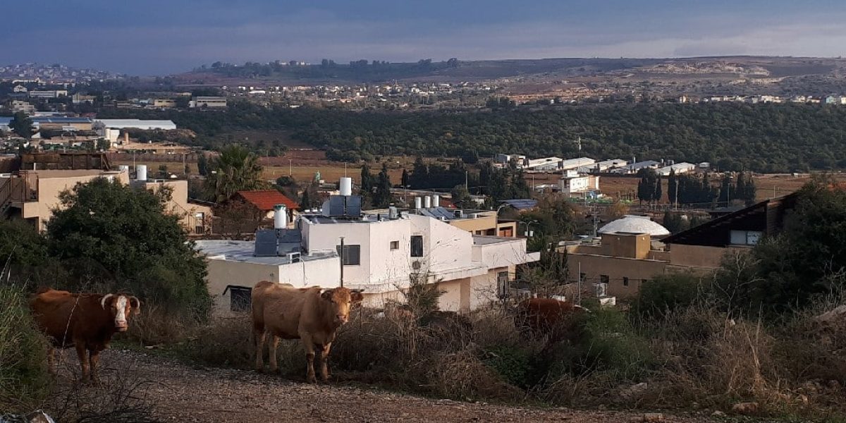נחל מירון
