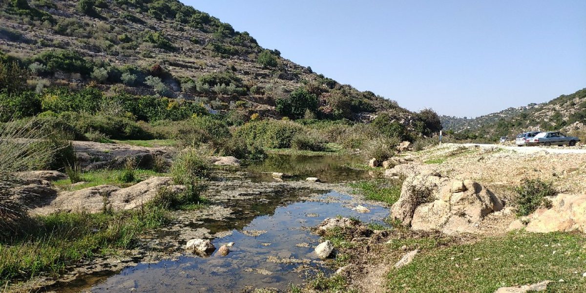 נחל קנה