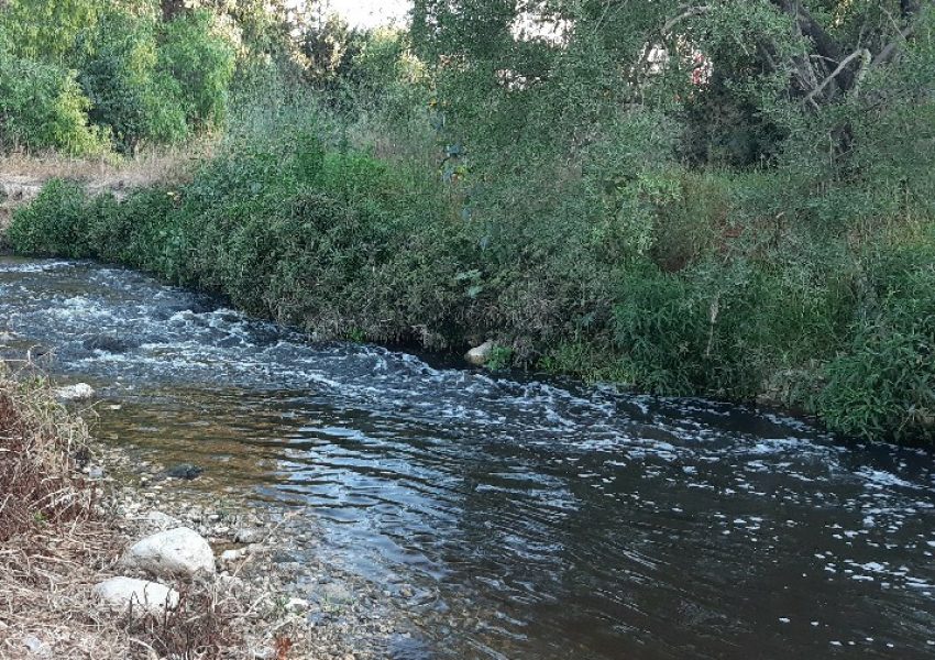 נחל שורק בית שמש
