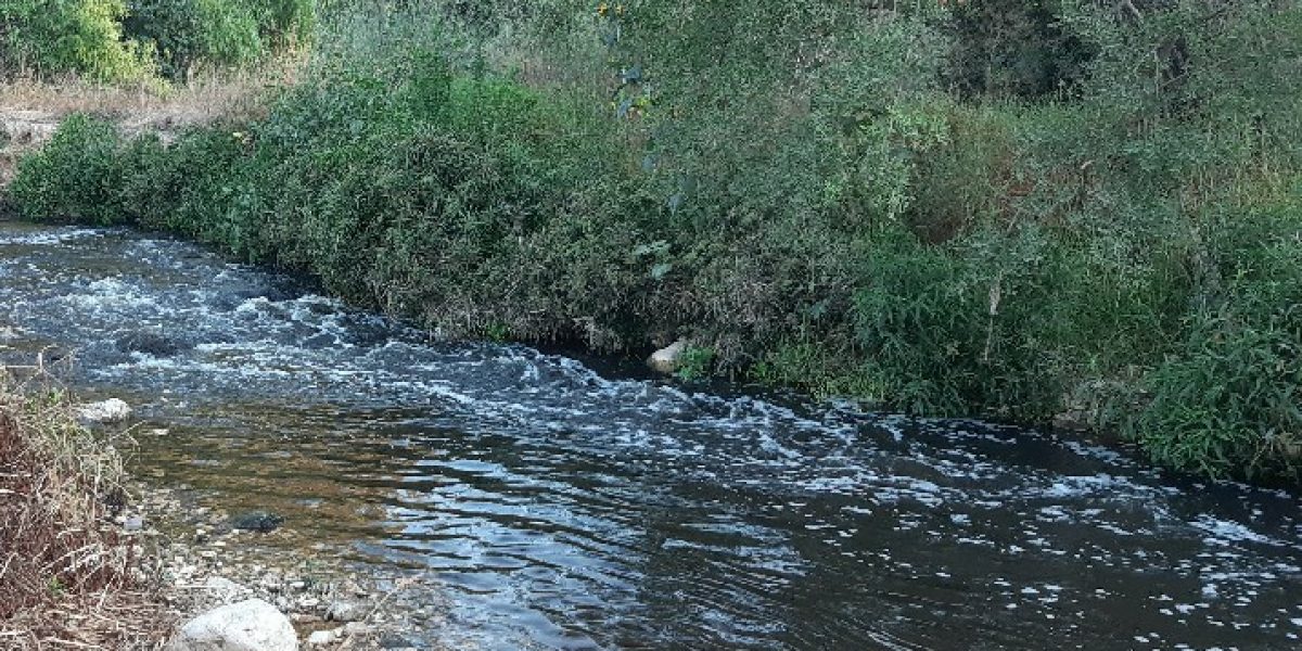 נחל שורק בית שמש