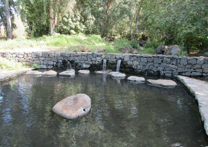 עיינות עדן