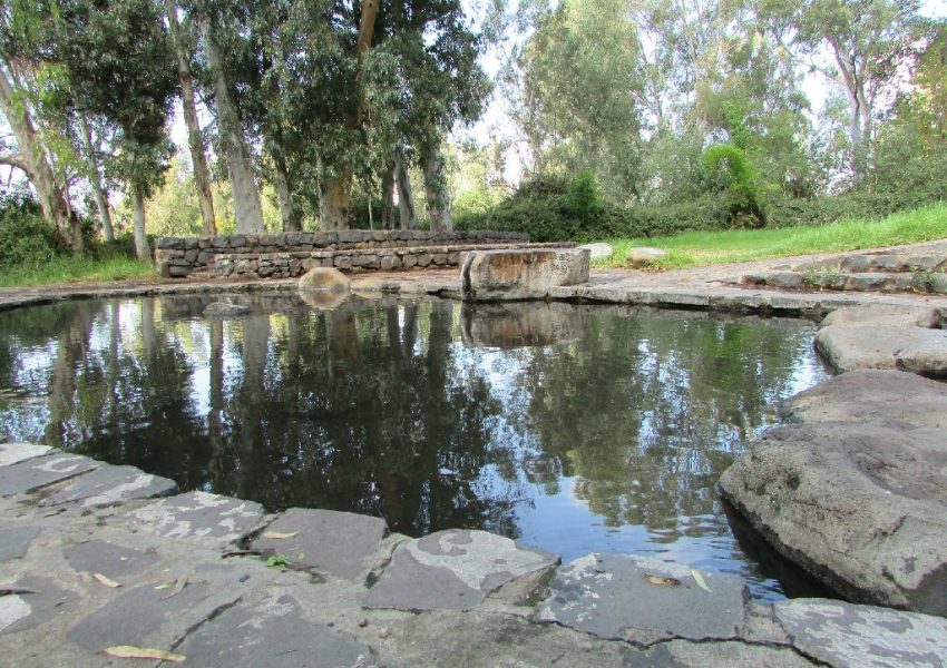 עיינות עדן