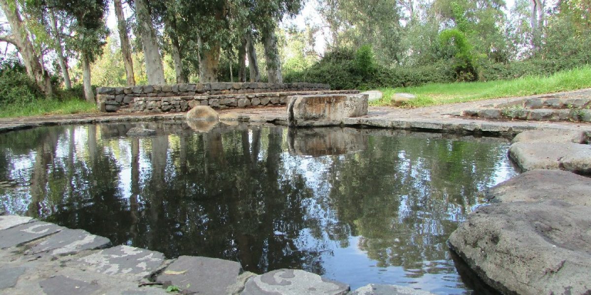 עיינות עדן