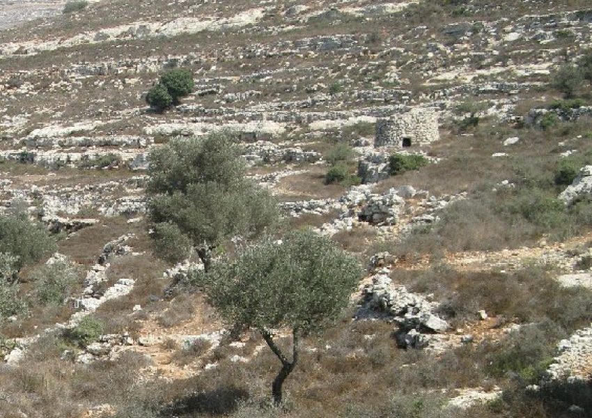 עין אל ג'נן