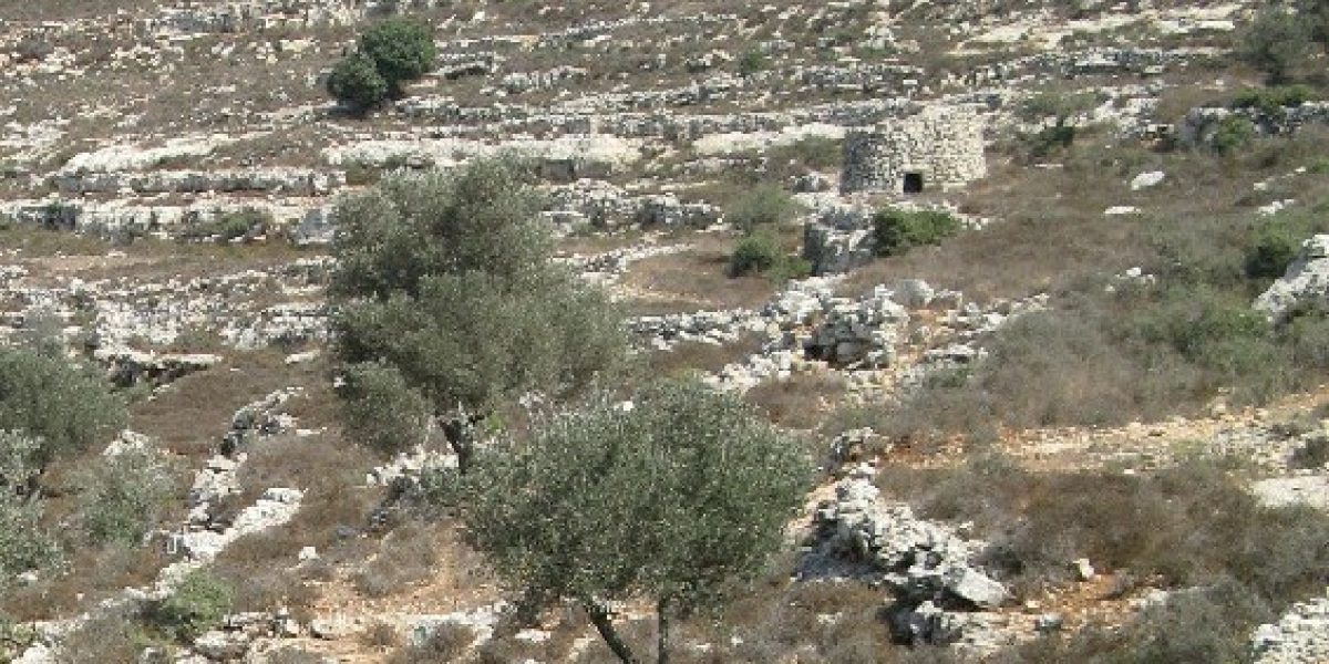 עין אל ג'נן