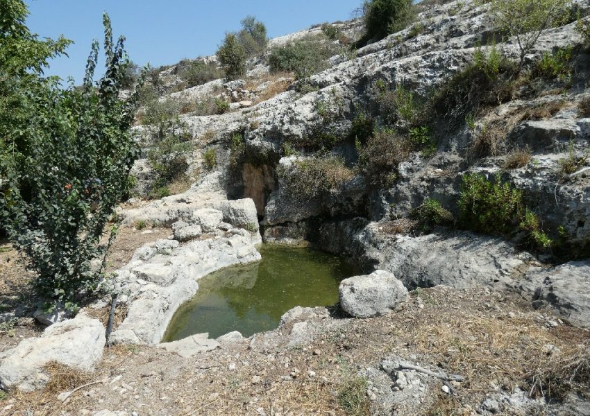 עין אל ג'נן