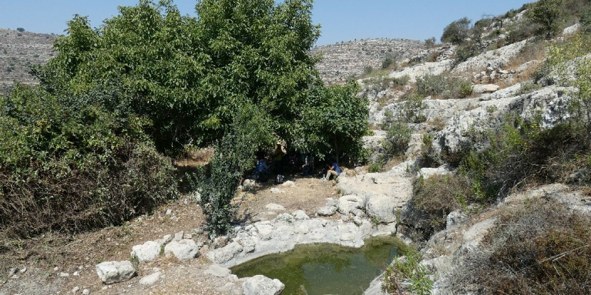 עין אל ג'נן