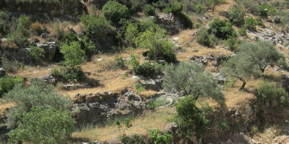 עין אל ח'נק