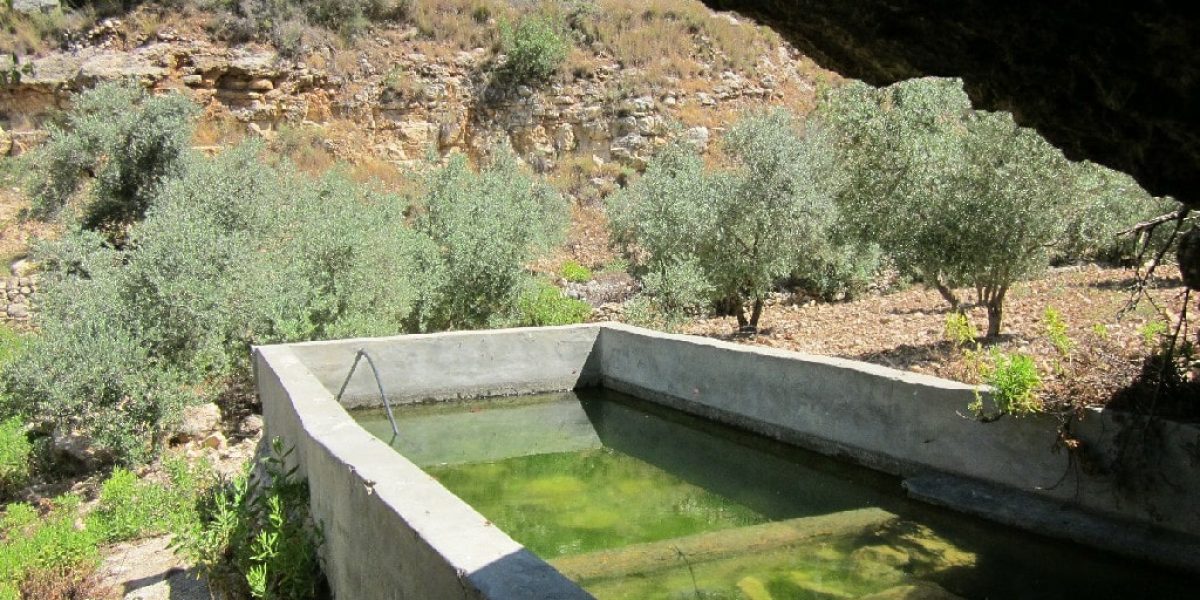 עין אל ח'נק