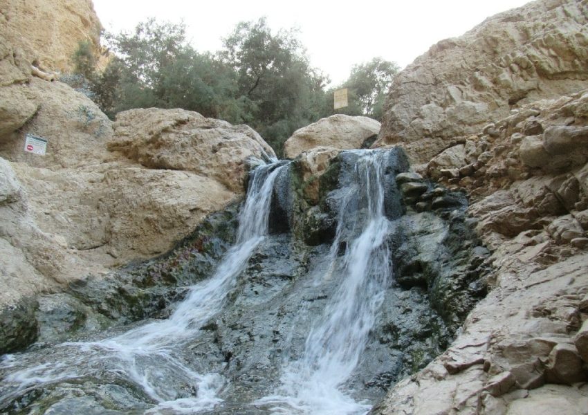 עין בוקק