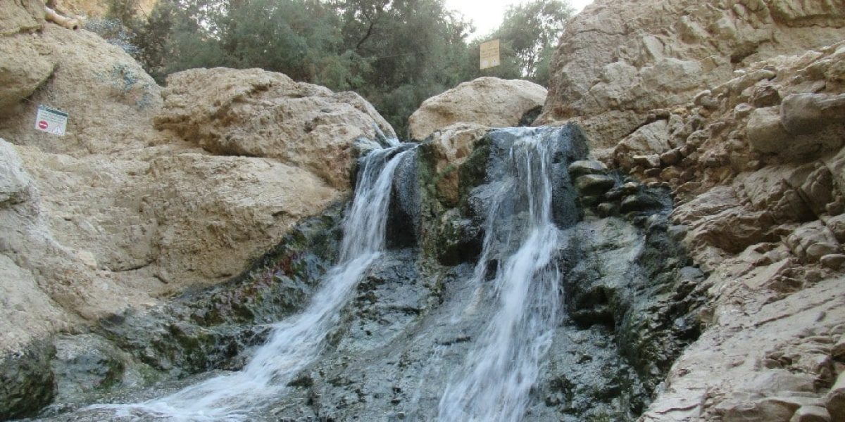 עין בוקק