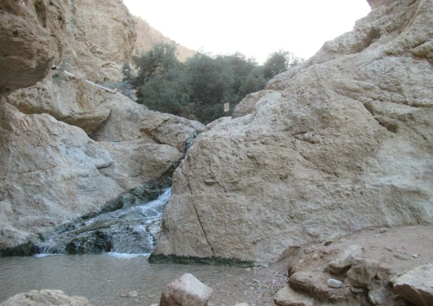 עין בוקק