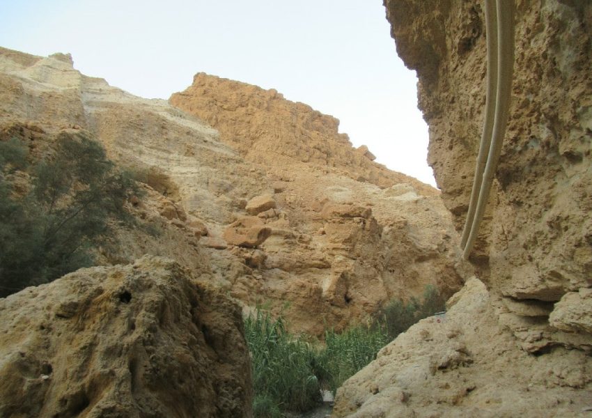 עין בוקק