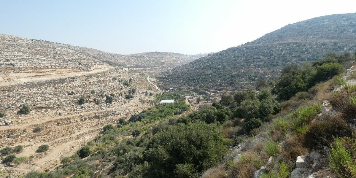עין ג'ריות