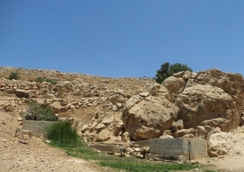 עין דומא