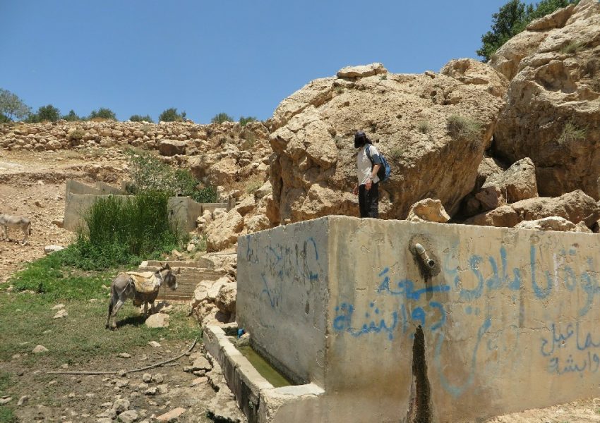 עין דומא