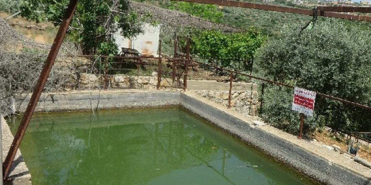 עין הארי – הבריכה הסודית