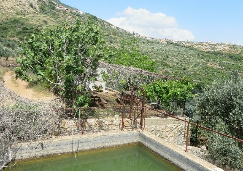 עין הארי – הבריכה הסודית