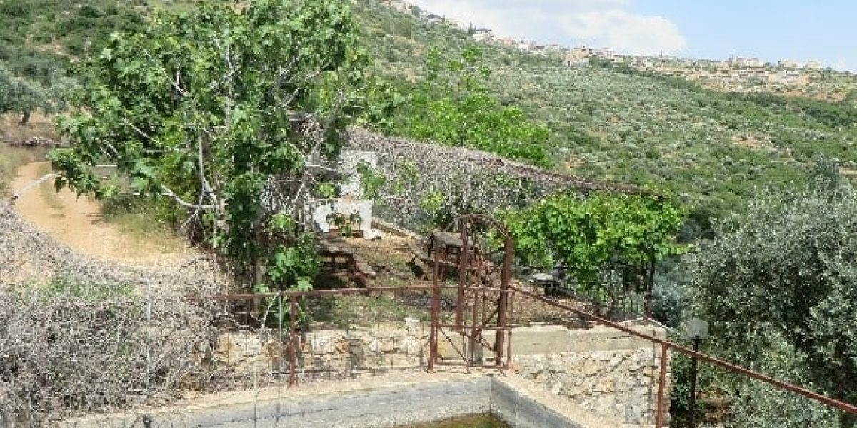 עין הארי – הבריכה הסודית