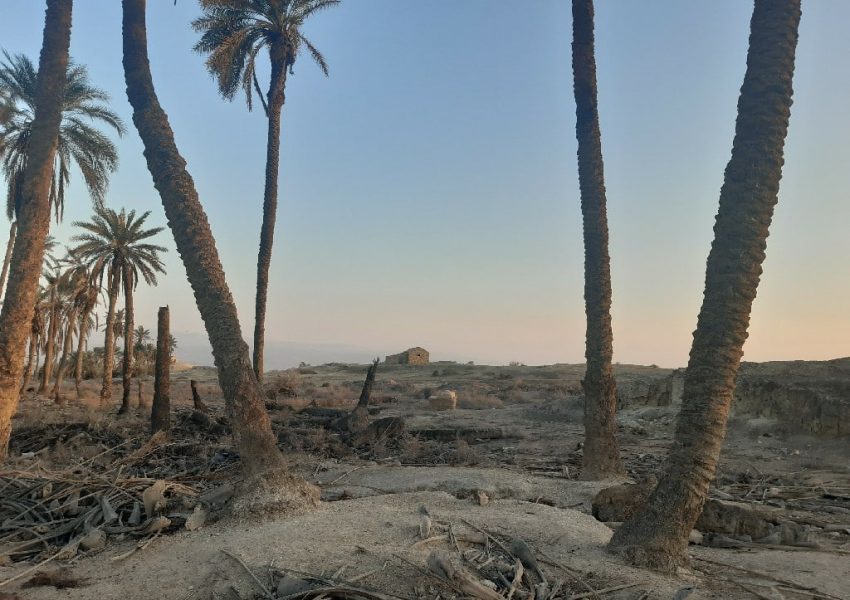 עין חגלה