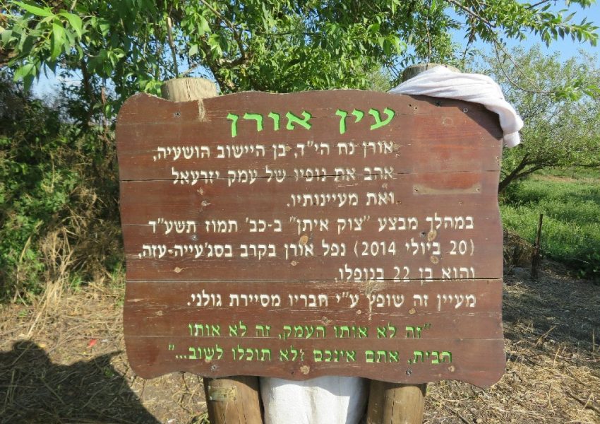עין חזין- עין אורן