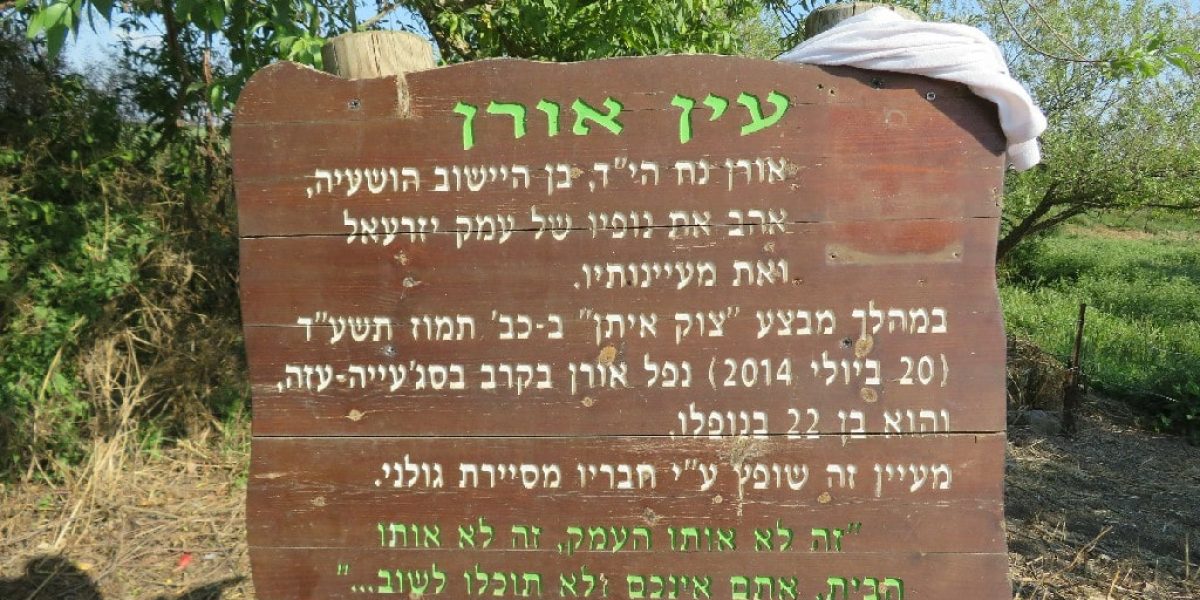 עין חזין- עין אורן