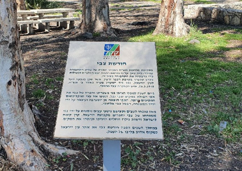 עין יזרעאל