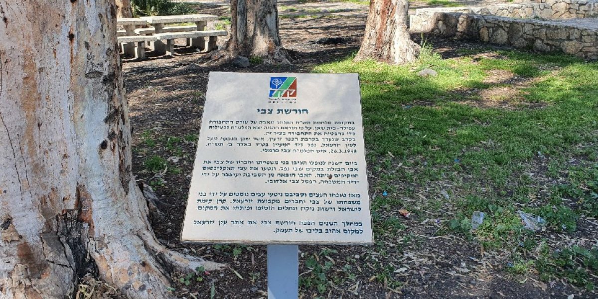 עין יזרעאל