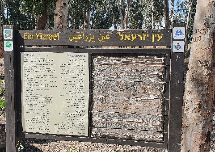 עין יזרעאל