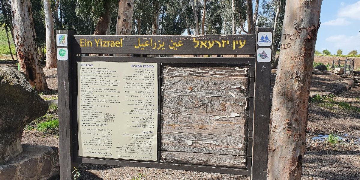 עין יזרעאל
