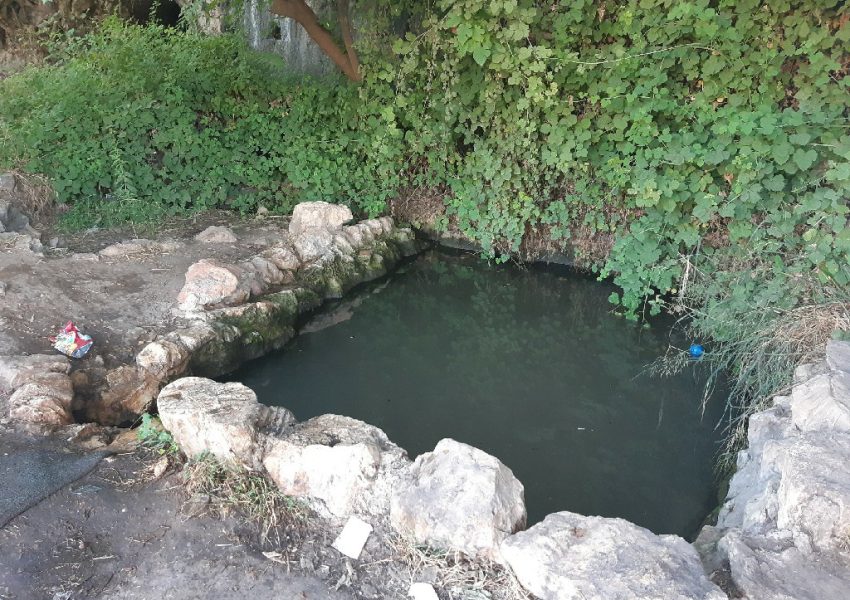 עין מוצא