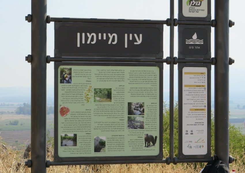 עין מיימון