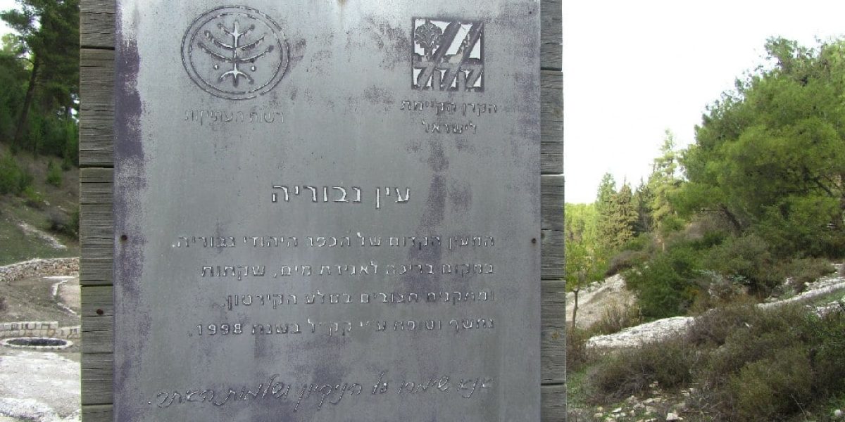 עין נבוריא